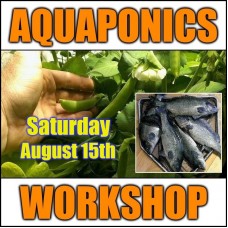 Introduction to Aquaponics - 1 Day Workshop - Perth - August 15th, 2020 - SOLD OUT!